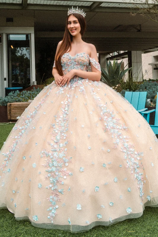 Clearance Event Long Quinceanera Dress 3D Floral Applique Ball Gown