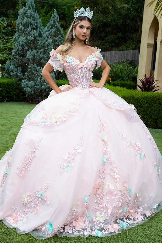 Trendy Street Style Long Ball Gown Floral Applique Quinceanera Dress