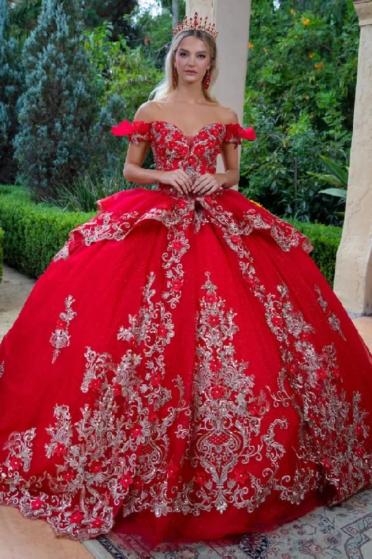 Premium Style Long 3D Floral Applique Quinceanera Dress