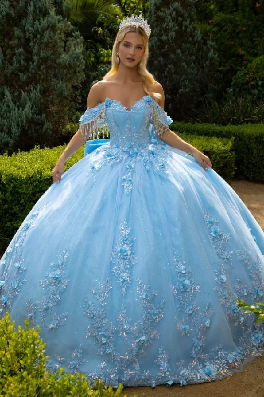 Casual Fashion Long Ball Gown 3D Floral Applique Quinceanera Dress